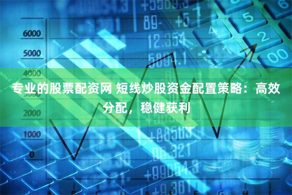 专业的股票配资网 短线炒股资金配置策略：高效分配，稳健获利